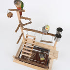 Sichuan Pepper Parrot Climbing Training Platform