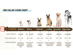 Pro Line Leather Hunting Dog Collar