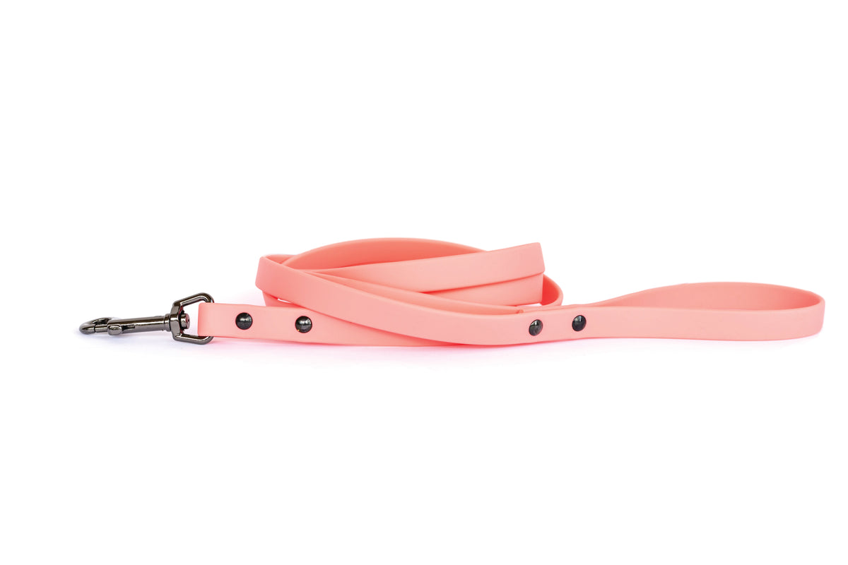 Waterproof Collar and Leash Set