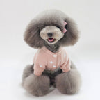Pet Clothing Autumn Winter New Pullover