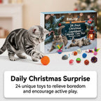 EelJoy 24-Day Christmas Advent Calendar Cat Toy