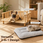 Elevated Cat & Small Dog Bed – Plush Mattress, Up to 60 lbs