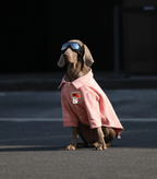 Dog Clothes For Large Breeds Labrador