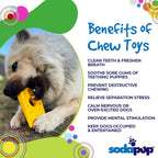 Swiss Cheese Wedge Nylon Dog Chew Toy for Aggressive Chewers | SodaPup