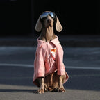 Dog Clothes For Large Breeds Labrador