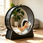 Large Cat Treadmill for Indoor Pets