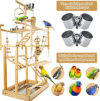 Bird Playground - Natural Wood Parrot Playstand with Perches, Bird Play Gym & Accessories, Removable Tray & 4 Stainless Steel Cups