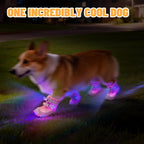 LED Light-Up Dog Boots – 4-Pack, 3 Sizes, 2 Colors