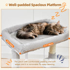 38-Inch Cat Tree for Indoor Cats | Kitten Tower with Condo, Hammock & Perch