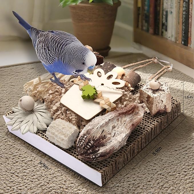 Kyouki Bird Toys, Parakeet Toys, Parrot Toy, Conure Hanging Chewable Cardboard Foraging Suitable for Budgies, Cockatiels, Lovebirds, Sun Conures - and Other Small/Medium Parrots (Medium)