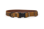 Celtic Sport Quick-Release Leather Dog Collar