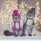 Autumn Winter Warm Knitted Pet Hats With Fluffy Ball