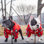 The Dog Face Windproof Waterproof Reflective Pet Cat Dog Jacket