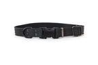 Celtic Sport Quick-Release Leather Dog Collar