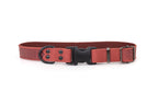 Celtic Sport Quick-Release Leather Dog Collar