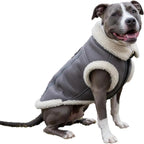 Retro Aviator Dog Jacket – Faux Leather Sherpa Coat