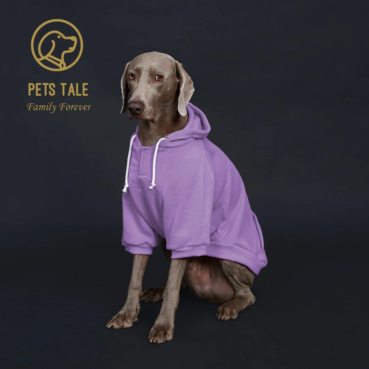 Colorful Polyester Dog Hoodie with Pocket & Leather Patch