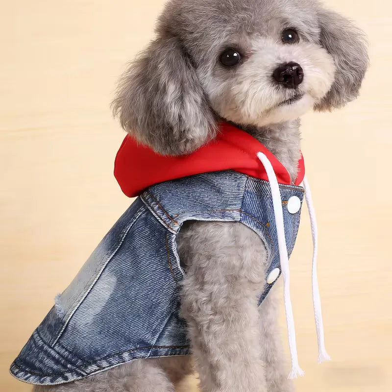 Denim Dog Hoodie Jacket for Small Dogs & Cats
