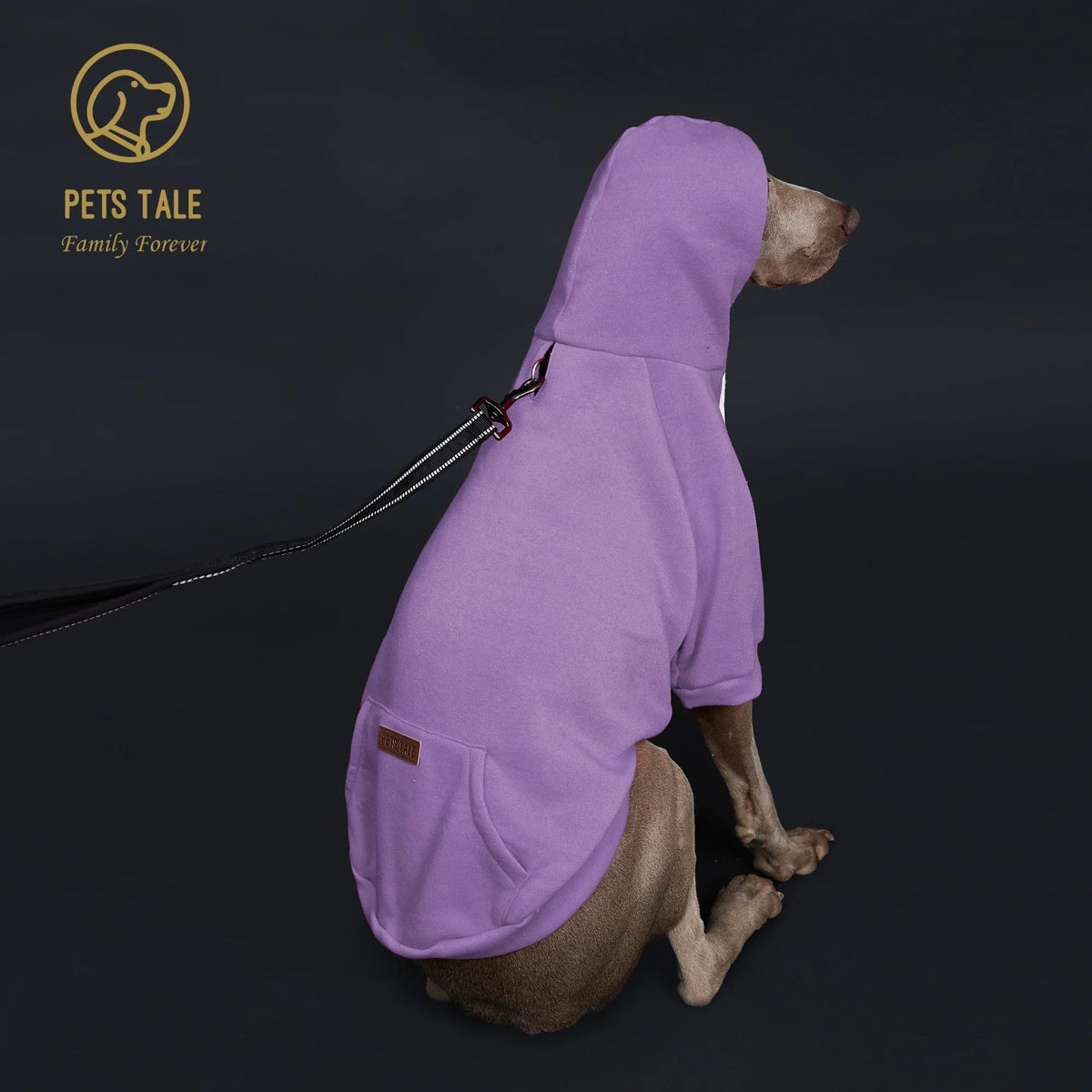 Colorful Polyester Dog Hoodie with Pocket & Leather Patch