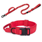 Durable Nylon Dog Collar with Reflective Leash Set