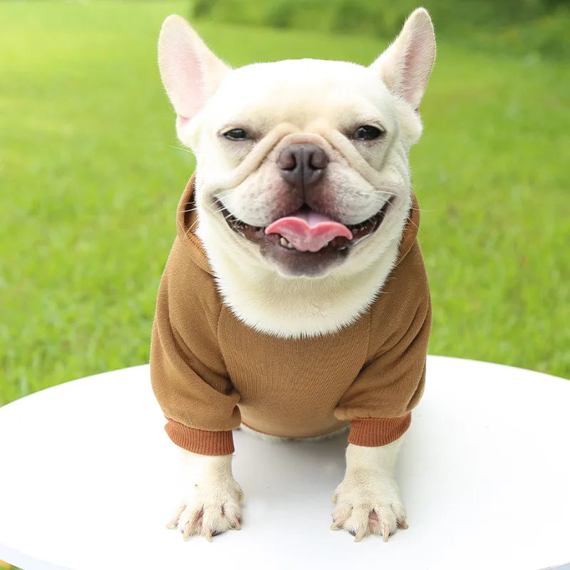 Chapter One Winter Dog Hoodie for Small & Medium Dogs