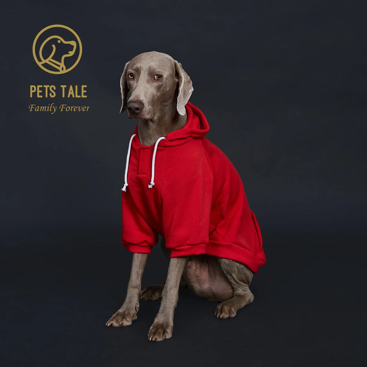 Colorful Polyester Dog Hoodie with Pocket & Leather Patch