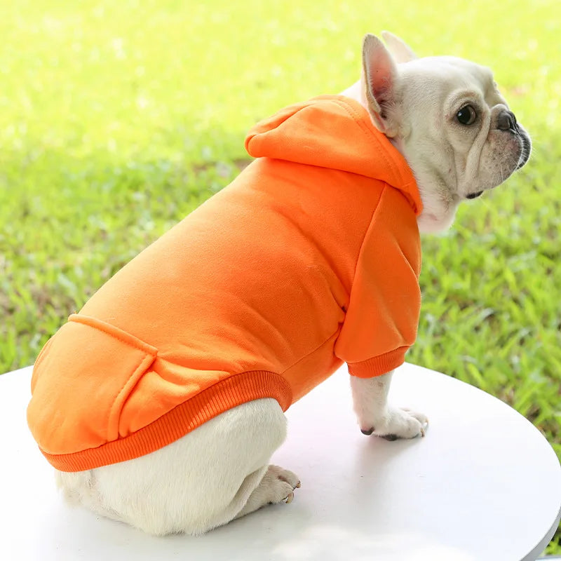 Chapter One Winter Dog Hoodie for Small & Medium Dogs
