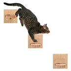 Wooden Cat Wall Steps – Wall Mounted Climbing Ladder with Sisal Rope Scratching Post