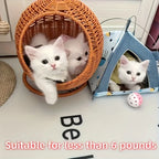 Luxury Fruit Basket Cat Hammock bed Hand Woven Storage Basket Comfortable Heavy Carton Packaging Not Easy To Damage for Pets