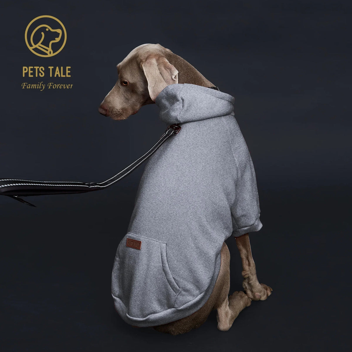 Colorful Polyester Dog Hoodie with Pocket & Leather Patch