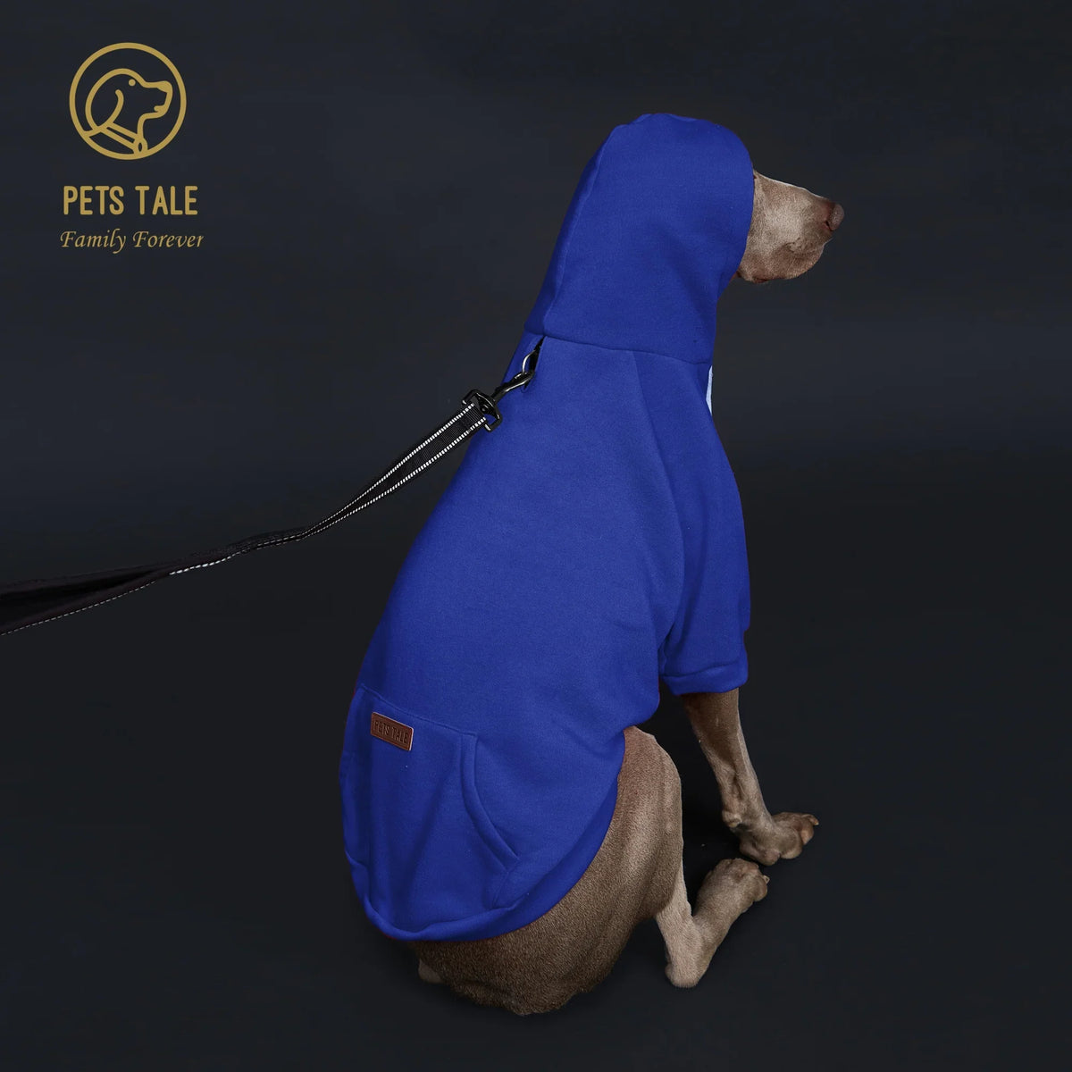 Colorful Polyester Dog Hoodie with Pocket & Leather Patch