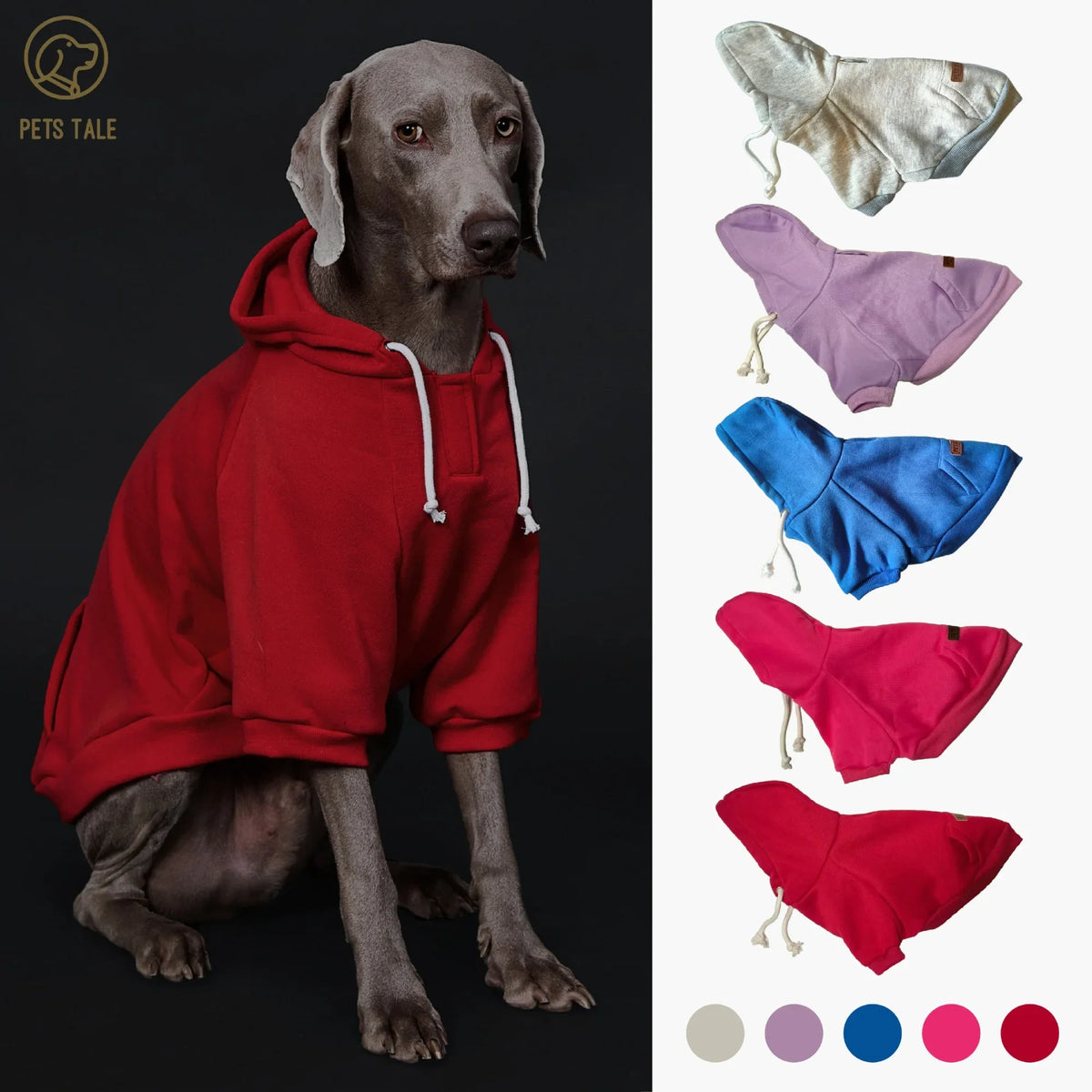 Colorful Polyester Dog Hoodie with Pocket & Leather Patch