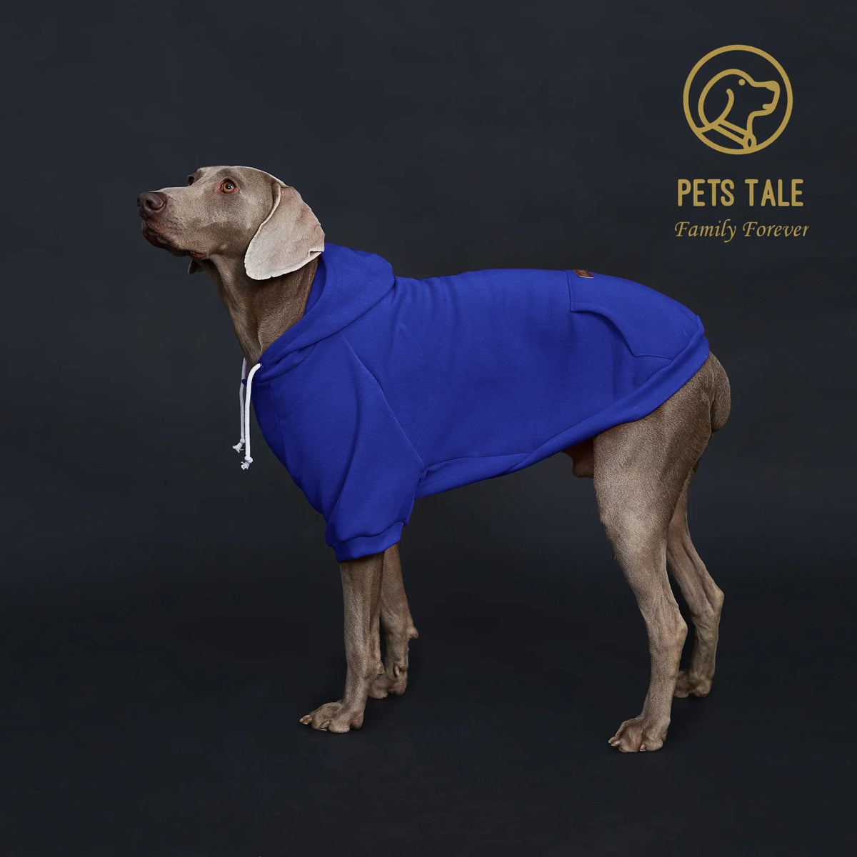 Colorful Polyester Dog Hoodie with Pocket & Leather Patch