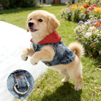 Denim Dog Hoodie Jacket for Small Dogs & Cats