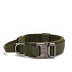 Durable Nylon Dog Collar with Reflective Leash Set