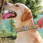 Durable Nylon Dog Collar with Reflective Leash Set