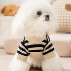 Bear Knit Dog Sweaters