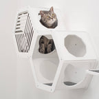 Cat Climbing Wall Shelves White