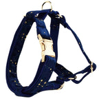 Dark Blue Velvet Set