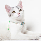 Touchcat Lucky Charms Designer Cable Necklace Cat Collar