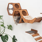 Wooden Cat Shelf Oak